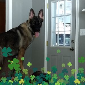 Meet your Posher, Sharon